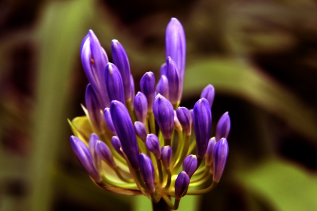 美好愿景 美好愿景