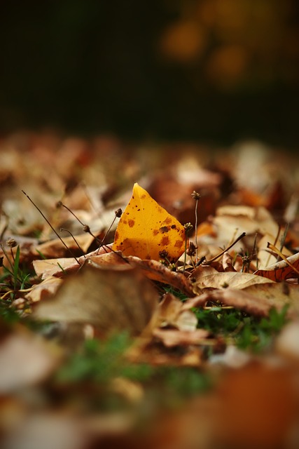 影响球队的 影响球队的