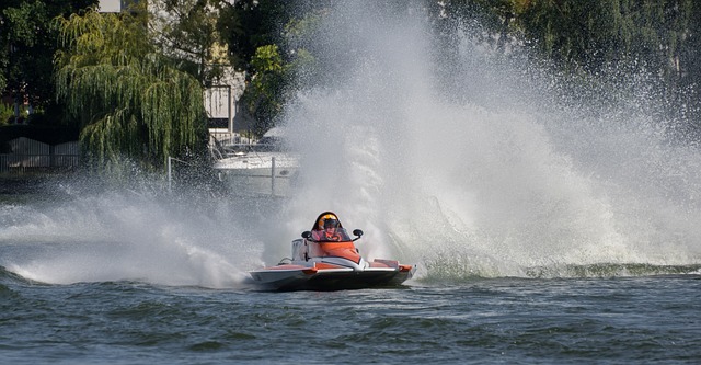 这一合作无 这一合作无