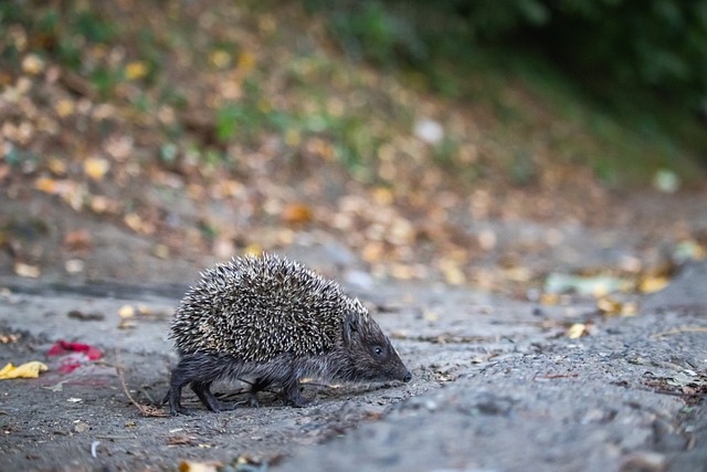 也同时刷新 也同时刷新