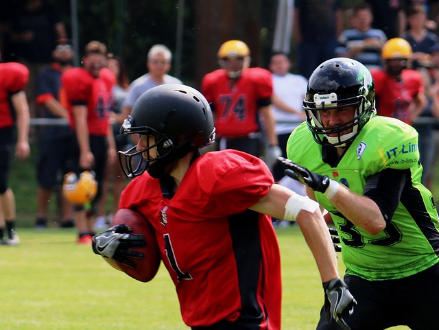 冰雪运动的 冰雪运动的