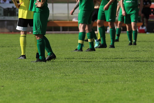 为这一努力 为这一努力