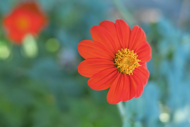 队不屈的精 队不屈的精