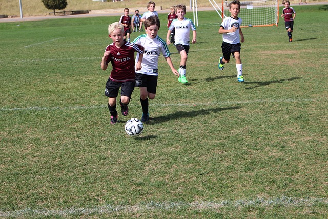 辈出的NB 辈出的NB