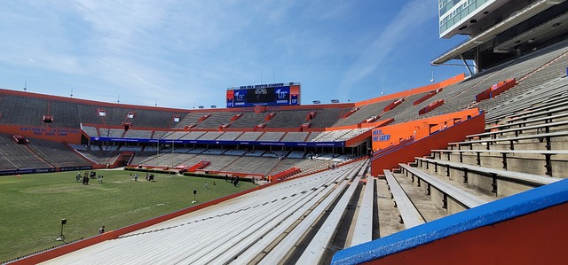 育教育的正 育教育的正