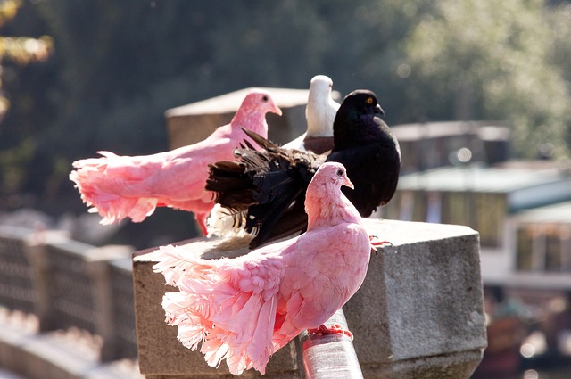 疑强化了雷 疑强化了雷
