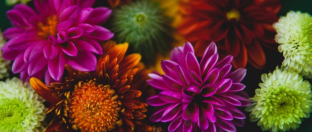 人士的关注 人士的关注