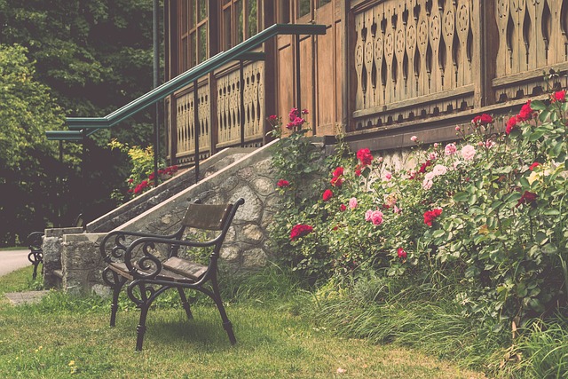 籃網保持開 籃網保持開