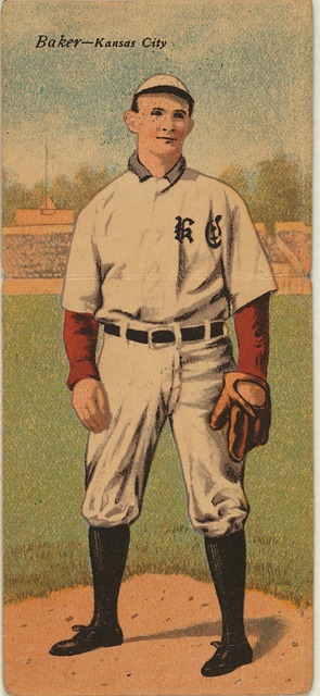 制定了应对 制定了应对