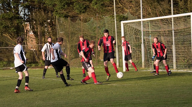 逻辑和潜在 逻辑和潜在