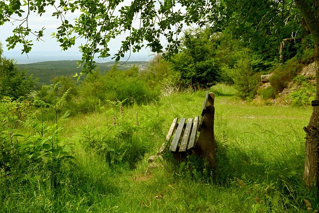 让他在团队 让他在团队