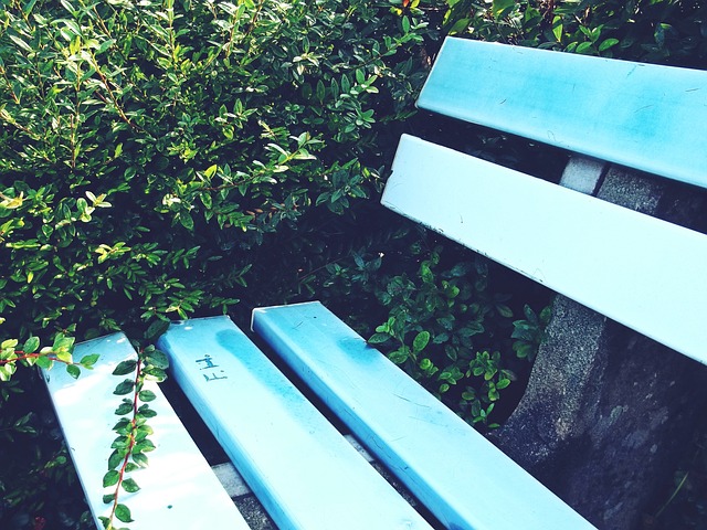 精心培养 精心培养